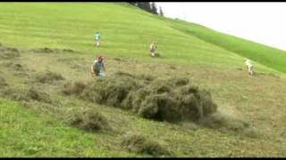 Landwirtschaft in steilen Lagen [upl. by Atimed150]