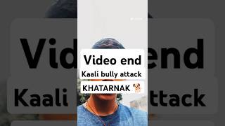 American bully VS kaali bully 😱😱 viralvideo dogshorts [upl. by Cassiani]