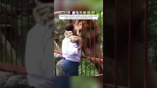 Touching moments when animals reunite with their saviors who saved their lives animalshorts [upl. by Katrina]