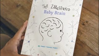 The Baby Brain [upl. by Loats]