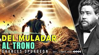 Del DOLOR a la GLORIA El Viaje de Dios con los Que Sufren ►SERMON CHARLES SPURGEON◄charlesspurgeon [upl. by Franek]