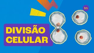 Entenda a DIVISÃO CELULAR  Mitose e Meiose [upl. by Kcirdehs]