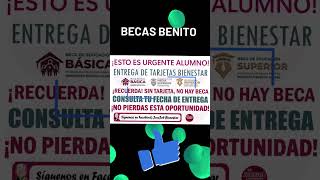 📌🎓 Becas Benito Juárez Revela Cuándo Será la Nueva Entrega de Tarjetas 📅No Olvides ir por la tuya💳 [upl. by Minsat]