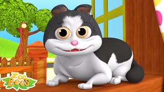 Meow Meow Billi Karti म्याऊं म्याऊं बिल्ली करती Nursery Videos and Kids Rhymes [upl. by Llehcar426]