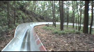 Alpine Slide POV East Lake Park Donghu China [upl. by Airtemed414]