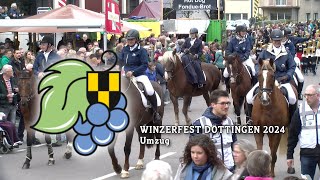 Winzerfest Döttingen 2024  Umzug [upl. by Alley]