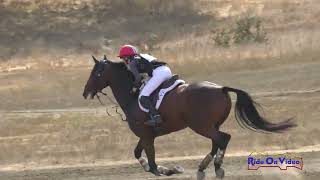 065XC Lauren Crabtree on Derroon Diamond Open Preliminary Cross Country Woodside October 2024 [upl. by Zollie]