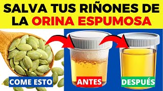 ESTE es EL MEJOR ALIMENTO para BAJAR la Proteinuria y Curar los Riñones Rápidamente [upl. by Llirrehs926]