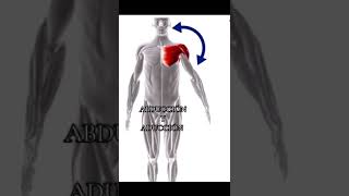 Movimientos del cuerpo humano LRS [upl. by Ahsenot]