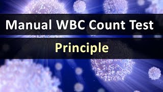 Manual WBC count Test Principle [upl. by Julie657]