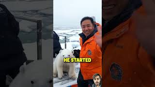 He found friendly bear polarbearq animals bear polarbear panda funfacts pandaday [upl. by Casey]