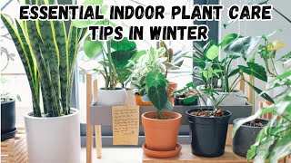 Indoor Plants Care Tips for Winter  How to Keep Your Plants Healthy All Season Long 🌱 [upl. by Eldrida]