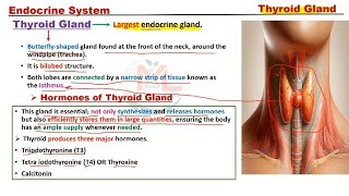 Thyroid gland  Parathyroid gland [upl. by Engleman]