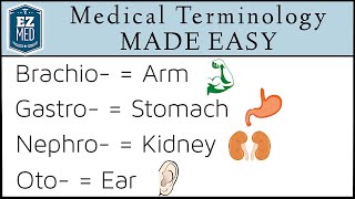 Medical Terminology MADE EASY Root Words Nursing Students Coding [upl. by Lexy]