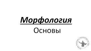 Морфология Основы [upl. by Kampmann51]