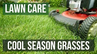 Cool Season Grasses A Lawn Care Guide [upl. by Ecirtal]