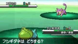 Pokemon RBY  Wild Pokemon Battle  BW×GB Remix [upl. by Aidin]