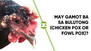 May Gamot Ba sa Bulutong Chicken Pox or Fowl Pox [upl. by Lad]