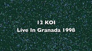 Kitaro 12 Koi Live In Granada 1998 [upl. by Seow]