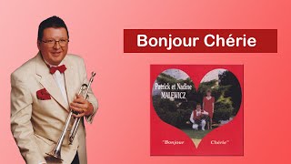 Patrick Malewicz cover Bonjour chérie [upl. by Ulphi]