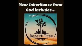 Your Inheritance deserttree viralvideos trending trendingshorts fyp foryourpage [upl. by Donaghue]