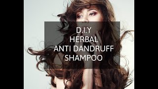 DIY  Herbal Anti Dandruff Shampoo  Sulfate amp Paraben Free [upl. by Sybley]