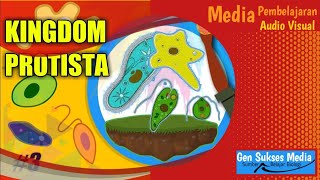 Materi Kingdom Protista  Mengenal lebih dekat Tentang Dunia Protista [upl. by Hite]