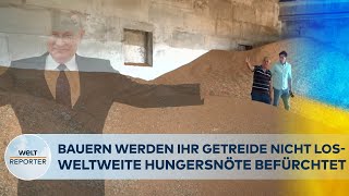 PUTINS KRIEG Aufgekündigter GetreideDeal  Millionen Menschen potenziell von Hungersnot bedroht [upl. by Adirehs492]