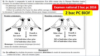 Examen national SVT 2 bac pc option français 2016 rattrapage تصحيح بالداريجة [upl. by Armbrecht618]