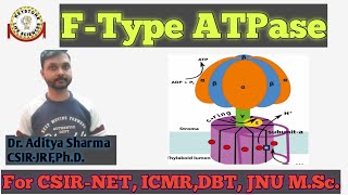 FType ATPase  ATP Synthase In Hindi By Dr Aditya Sharma CSIRJRF PhD For CSIRNET ICMR DBT [upl. by Ahsenor461]