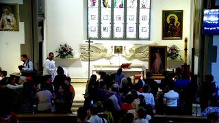 DIVINE MERCY RETREAT WITH FR CHRIS ALAR MIC [upl. by Ttennej]