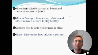 Functions of the Skeleton GCSE PE AQA Paper 1 [upl. by Vizza]