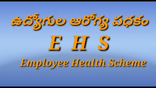 Employees Health Scheme  EHS [upl. by Waring]