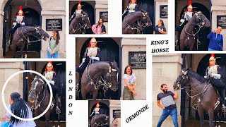 ORMONDE The Kings Horse That No One Messes With Him At Horse Guards London [upl. by Enelyaj]