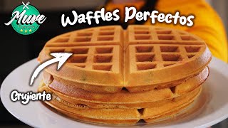 CÓMO HACER WAFFLES 🧇  ESTA ES LA MEZCLA PERFECTA  Muve Flavors [upl. by Fineman]