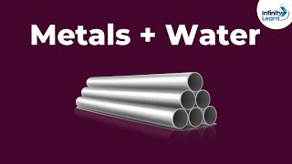 Metals and Nonmetals Chemical Properties  Part 2  Dont Memorise [upl. by Ducan]