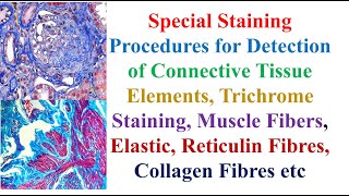 Special Staining Procedures for Detection of Connective Tissue Elements Trichrome Staining [upl. by Nylegna]