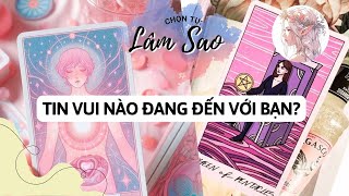 TIN VUI NÀO ĐANG ĐẾN VỚI BẠN Lâm Sao Tarot đang phát trực tiếp [upl. by Alessandro]