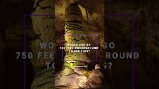 Carlsbad Caverns nature cave newmexico spooky [upl. by Ennavoj556]