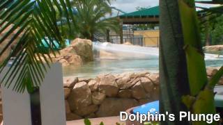 Aquatica Orlando Florida [upl. by Teemus]