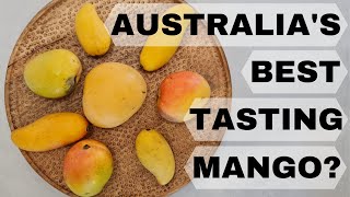 What is Australias BEST tasting Mango 5 Variety Comparison Review [upl. by Fira]