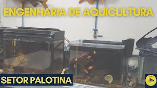 Engenharia de Aquicultura UFPR Palotina [upl. by Justus]