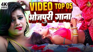 Neeraj Priya Ka Arkestra Video  Jukebox Video  Bhojpuri New Dj Video song 2024 [upl. by Axia]