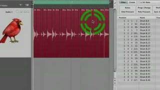 Logic 8 Audio Quantize  Adjust Tempo Using Region Length and Locators [upl. by Lovel]