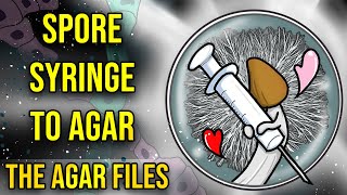 Spore Syringe to Agar  The Agar Files [upl. by Ykvir]