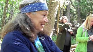 Talking with Trees  Hawthorne Herbal Remedy for Heart Health [upl. by Dnaleel]