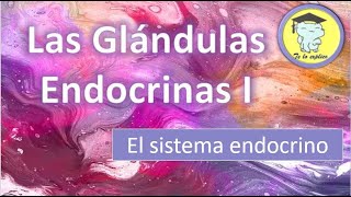 LAS GLÁNDULAS ENDOCRINAS  PARTE 1 [upl. by Ainerol]