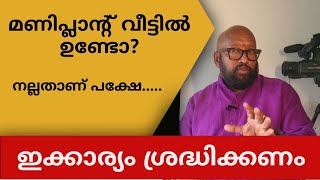 വീട്ടിൽ മണി പ്ലാൻ്റ് ഉണ്ടോ  വളരെ നല്ലതാണ് പക്ഷേ ഇങ്ങനെ ആവരുത് [upl. by Aik]