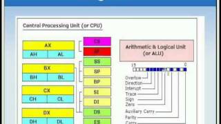 Assembly Language Tutorial 5 Registers [upl. by Enahsed]