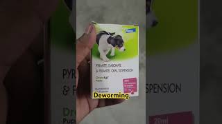 puppy ke liye Deworming syr pyrantel embonate amp Drontal puppyytshorts dhanbad [upl. by Pasol611]